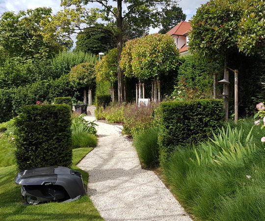 Rasenroboter, der im Garten den Rasen mäht.