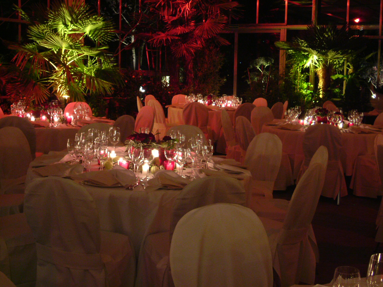 Stimmungsvoll beleuchtetes Gewächshaus bei Nacht. Gefüllt mit eingedeckten Stühlen und Tischen.