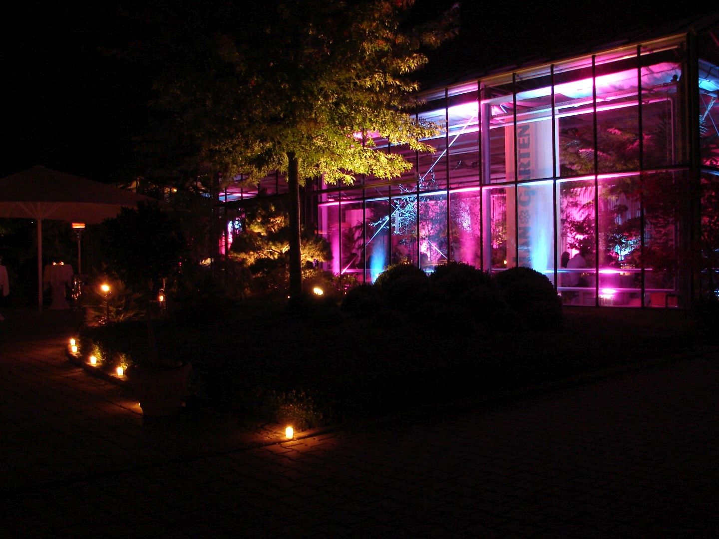 Stimmungsvoll beleuchtetes Gewächshaus bei Nacht.