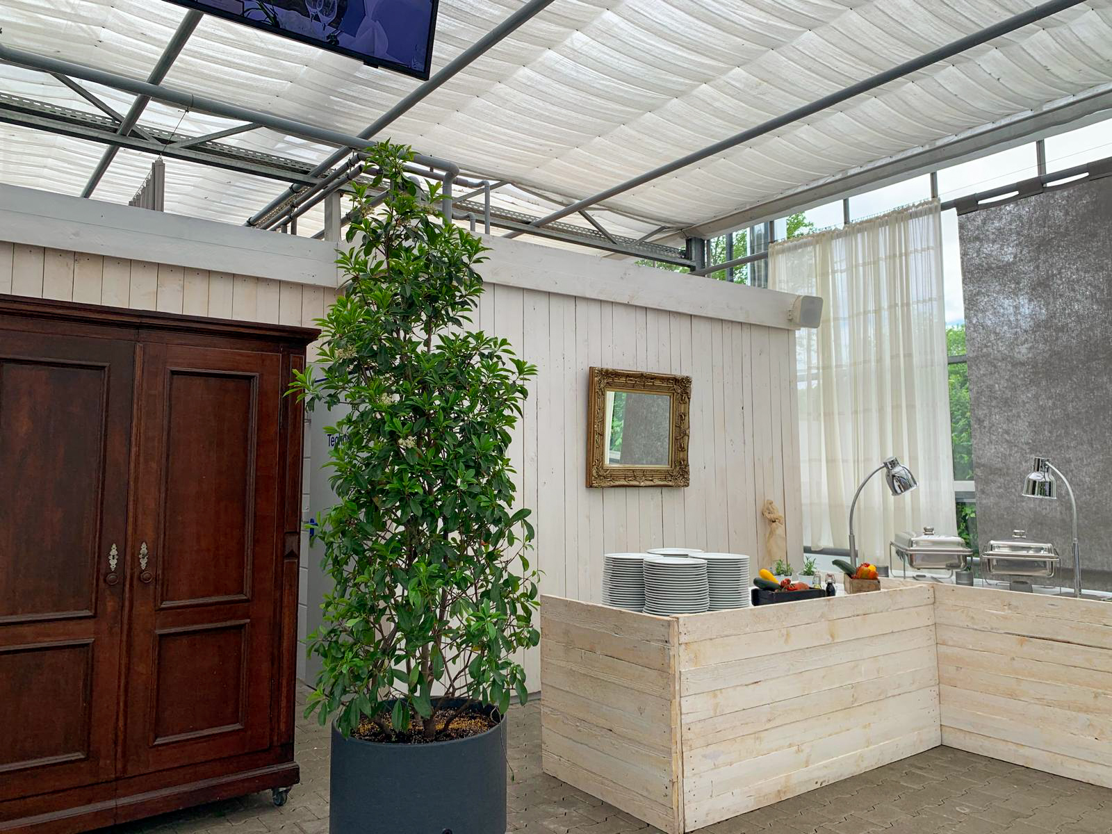Aufgebautes Buffet im Gewächshaus.