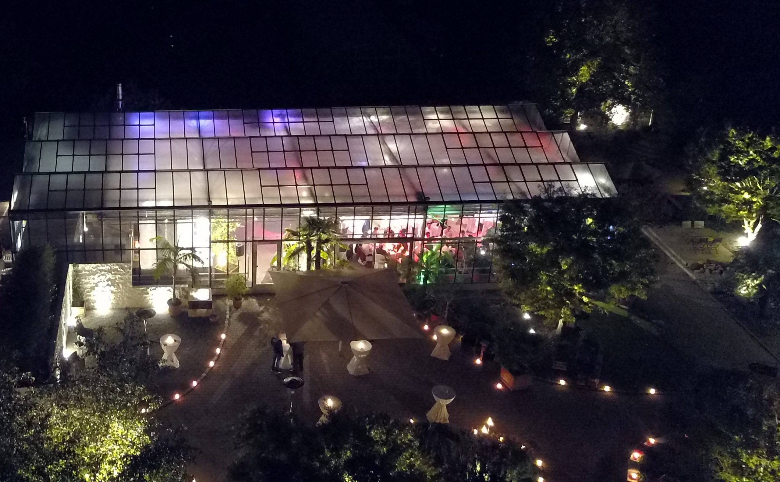 Stimmungsvoll beleuchtetes Gewächshaus bei Nacht.
