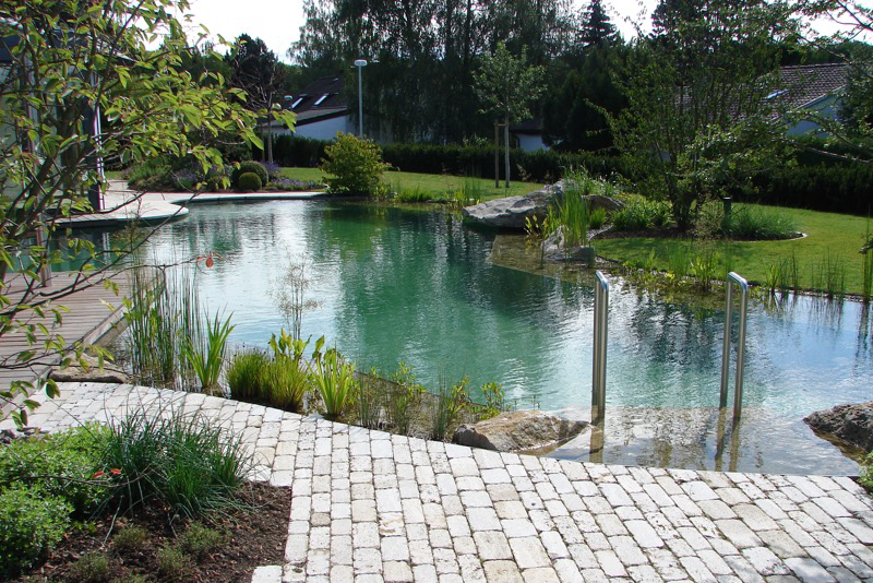 Natürlicher Schwimmteich bei Sonnenschein, umgeben von grüner Landschaft.