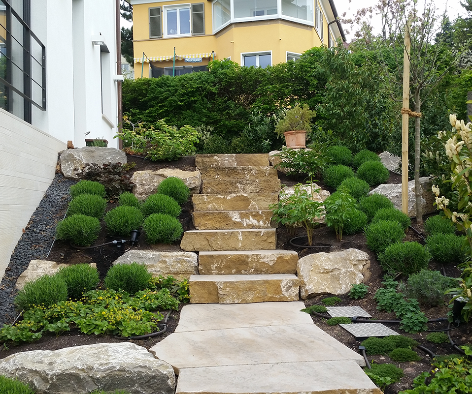 Kurze, steinerne Treppe in einem Grünen Garten.