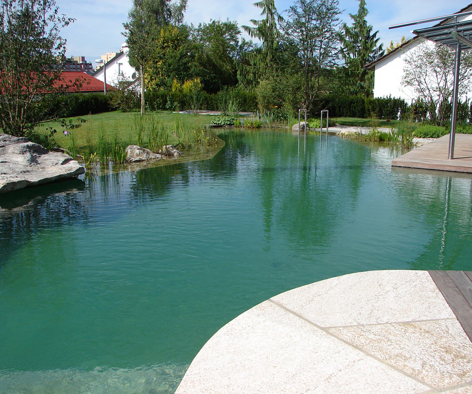Natürlich gehaltener Schwimmteich im Sommer.